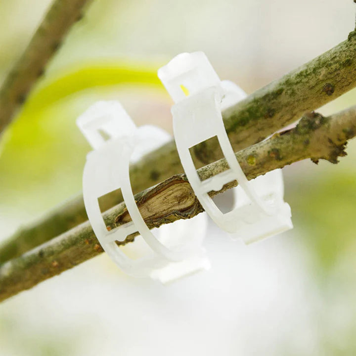 Clips-uri palisare plante 125 bucati+125 GRATIS