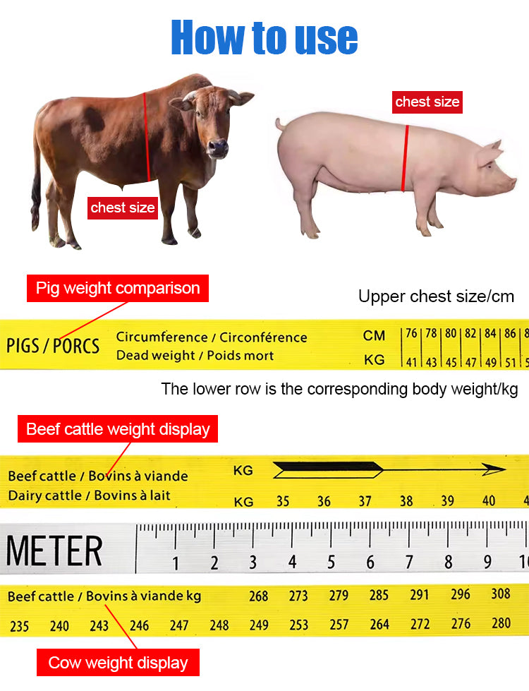 Ruleta Pentru Determinarea Greutatii Porcilor, Vitelor, Oilor