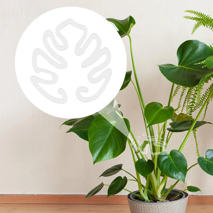 Set 5 suporturi transparente din acril pentru plante de interior
